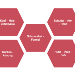 Kurs – Neue Rückenschule mit Engpassdehnungen nach Liebscher & Bracht – Mo. 23.09.2024