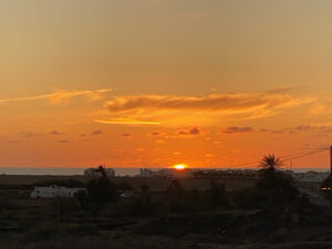 cc9d5acc-2244-4181-a4a2-d8663698ebd7